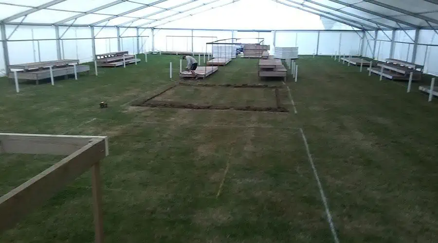 New Forest Show