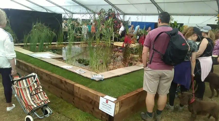 New Forest Show