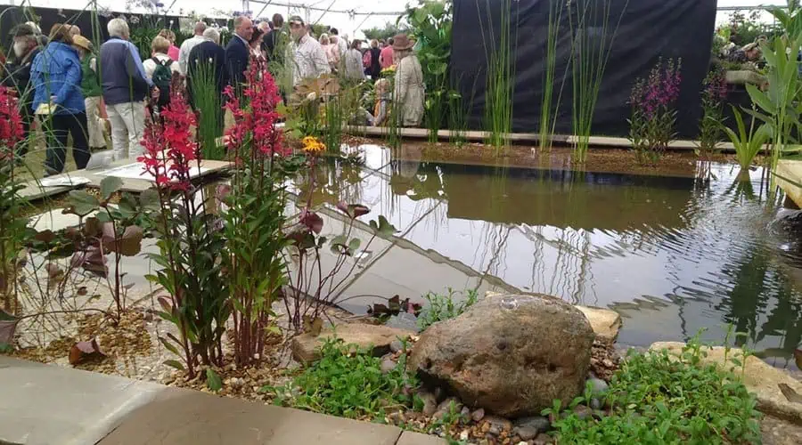 New Forest Show 2018