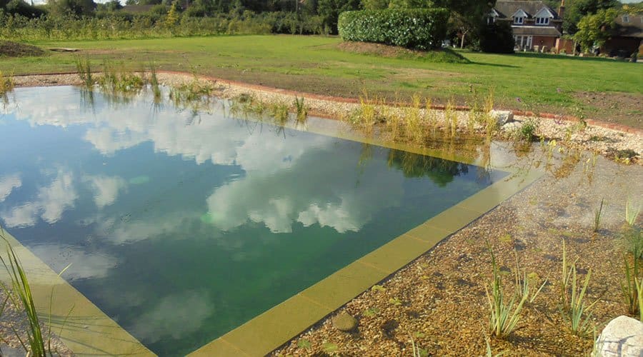 Natural Pools Wimborne