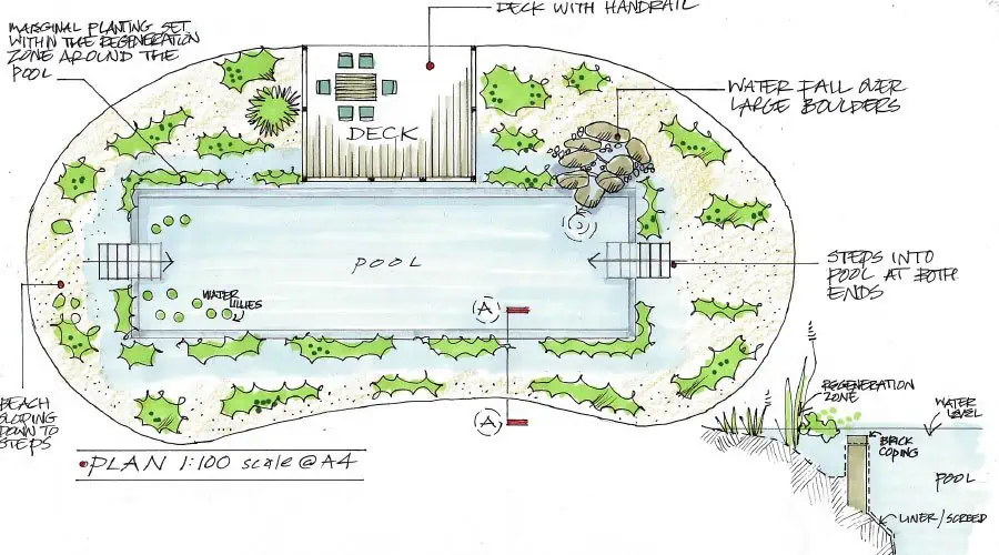 Natural Swimming Pool Plan