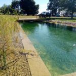 aquatic planting and gravel beds filter the water