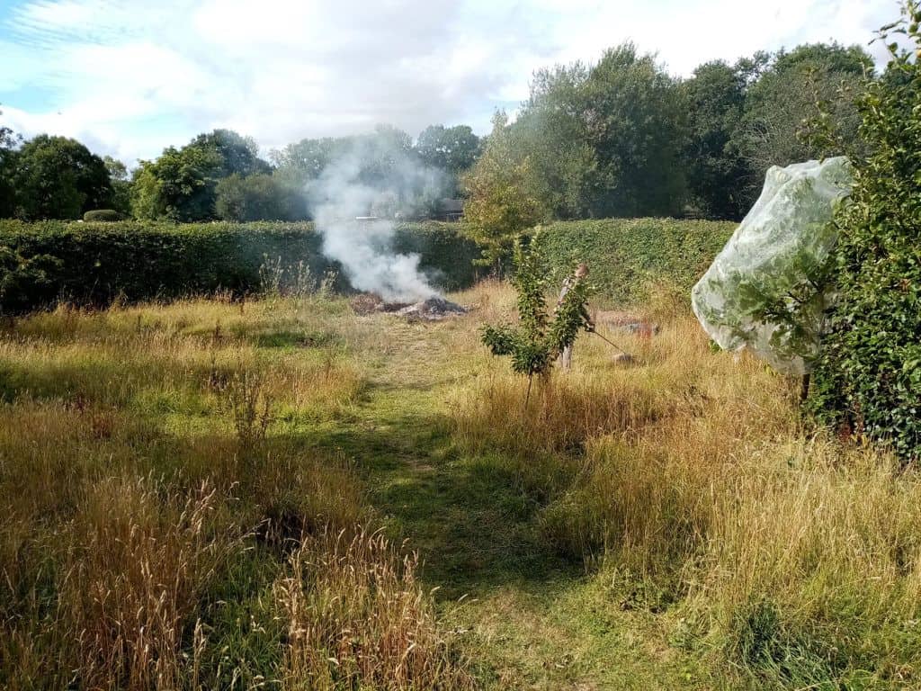 Clearing The Site - Whitmore Cottage