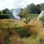 Clearing The Site - Whitmore Cottage