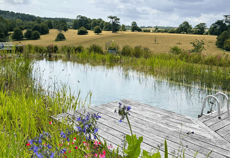 Ashcombe Estate, Tollard, Natural Swimming Pond Royal